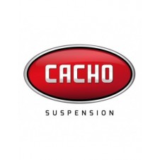 BUJE TENSOR TRASERO... 2