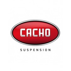 BUJE PARRILLA TRASERA... 2