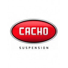 AMORTIGUADOR DELANTERO FIAT... 2
