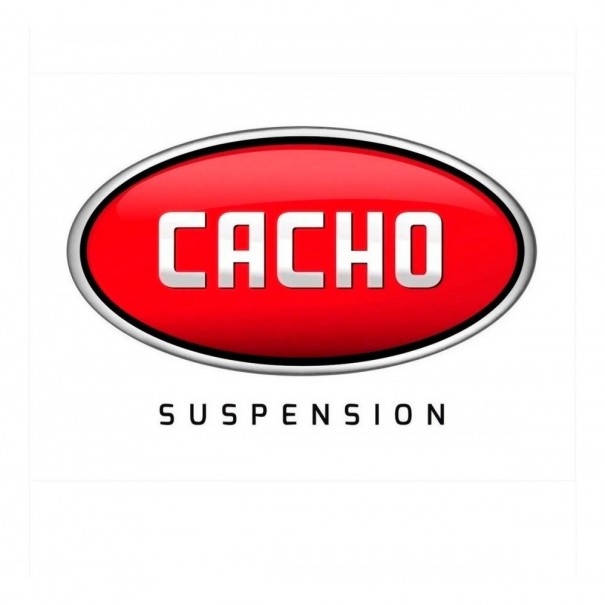 AMORTIGUADOR DELANTERO IZQUIERDO BMW E36