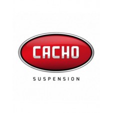 DISCO DE FRENO DELANTERO... 2